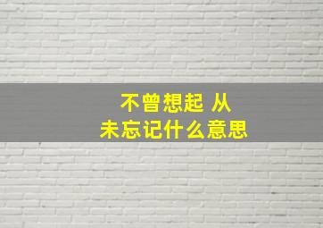 不曾想起 从未忘记什么意思